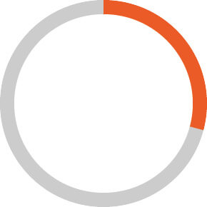 circle graph depicting 29%